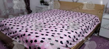 W230-3129 (1)_tn-kicsi.jpg_1